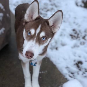 Meet your Posher, Michaela